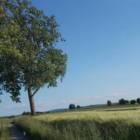 Apartment Und Ruhe - Fuer Ruhe Suchenden Uslar